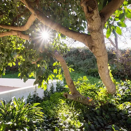 Lightbooking Casa De Campo Ortigal Tenerife Hébergement de vacances